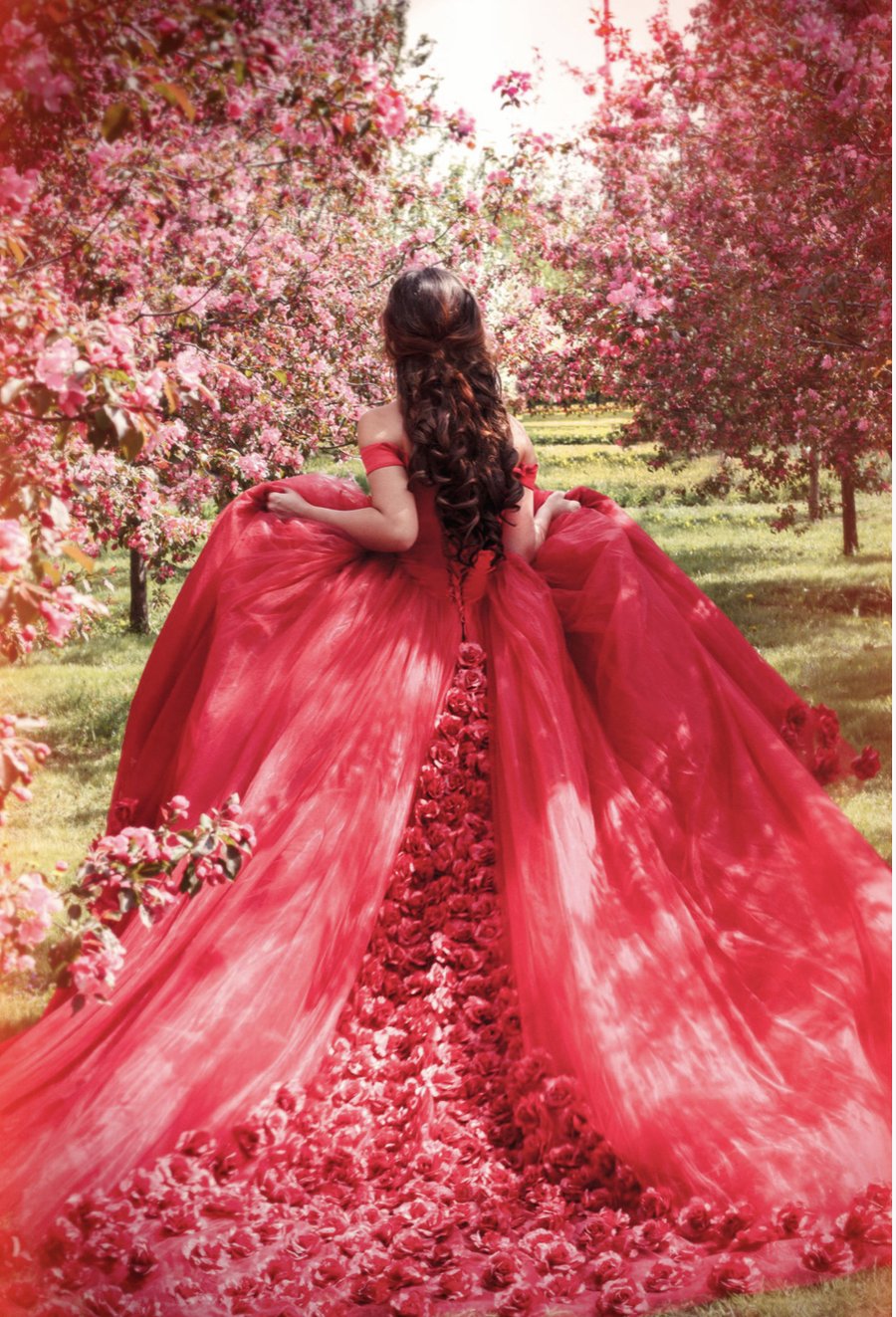 Red rose-train gown in blossom orchard